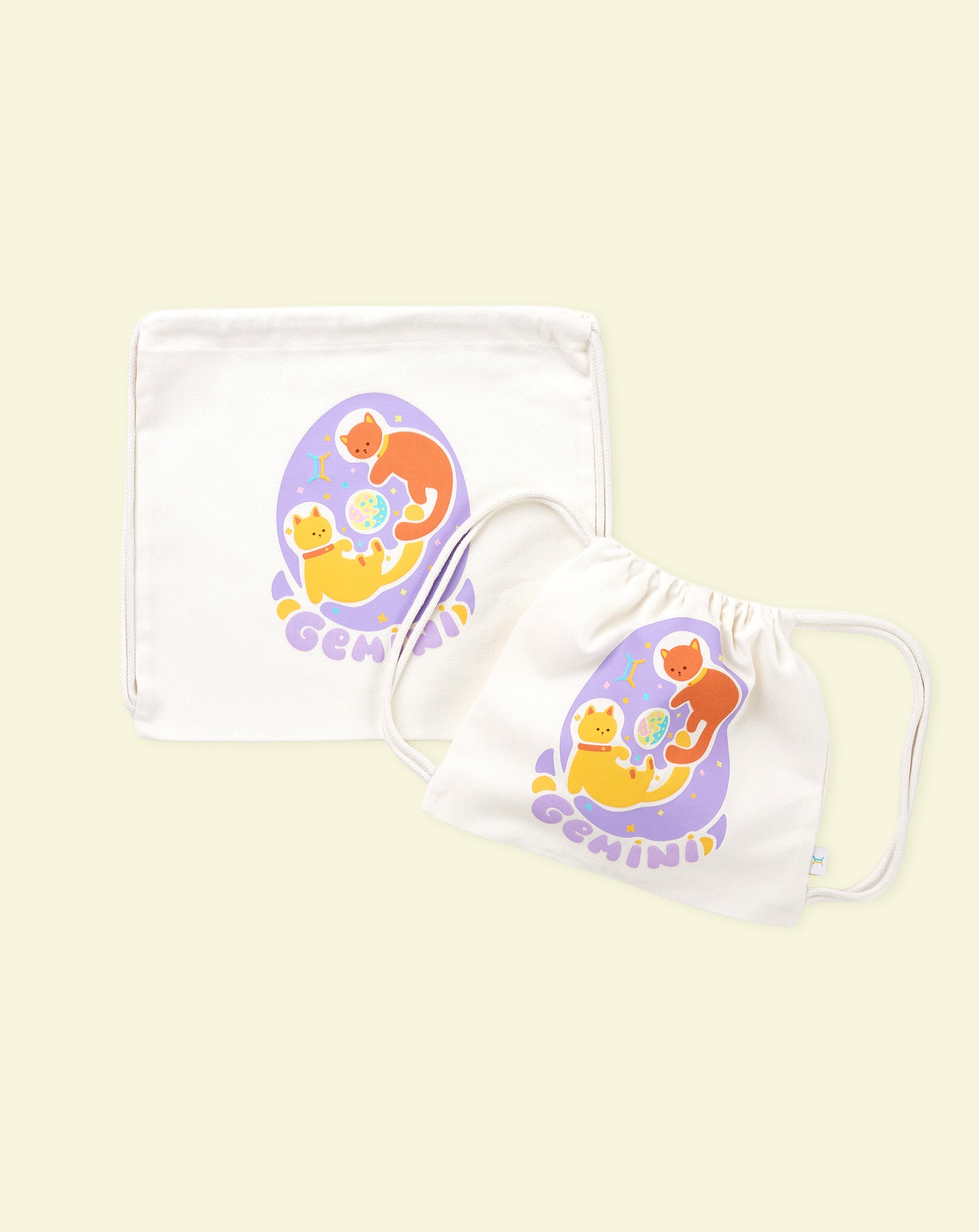 Gemini Explorer Set