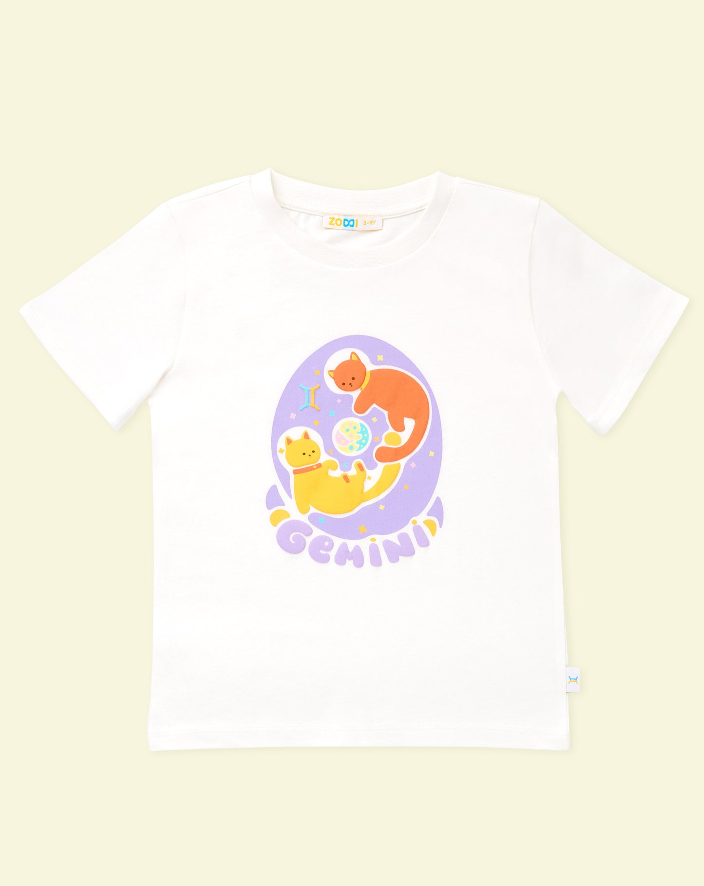 Gemini Explorer Set