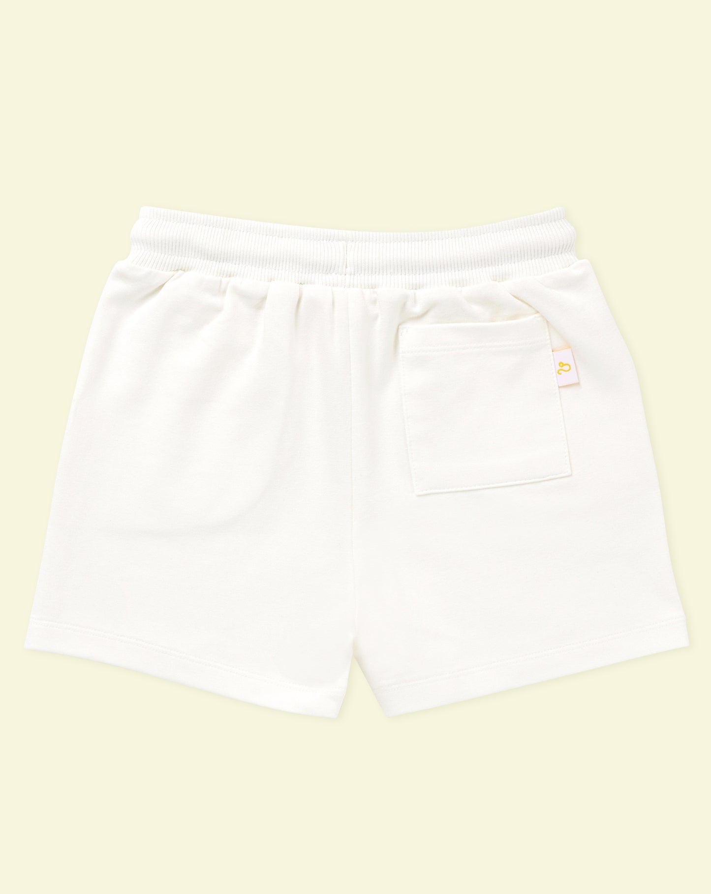 Leo Explorer Set