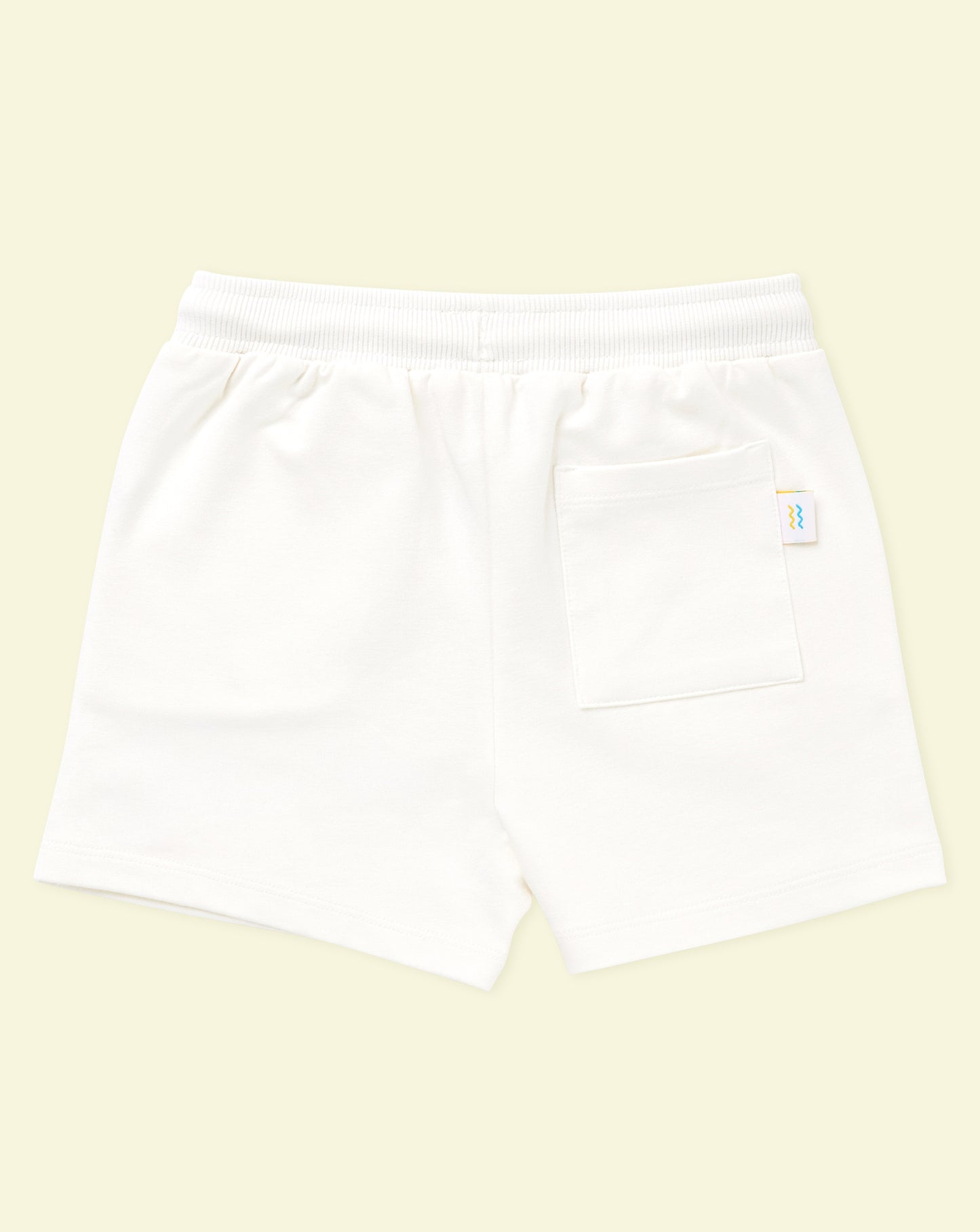 Zoddi™ Starborn Aquarius Explorer T-Shirt & Shorts Bundle